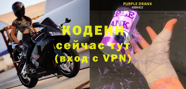 МДПВ Тавда