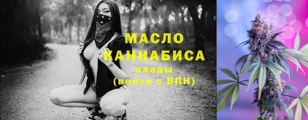 дурь Сясьстрой