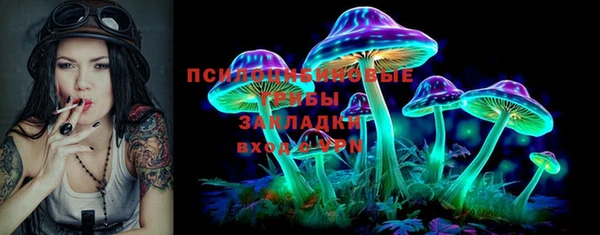 дурь Сясьстрой